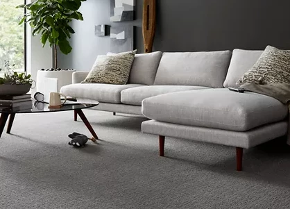 Carpet Flooring | Custom Floors